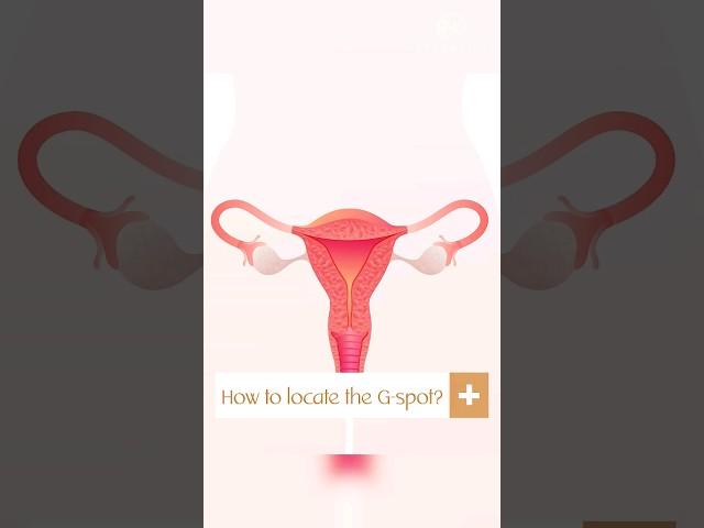 How To Locate The G-Spot? | G-Shot Treatment in Hyderabad